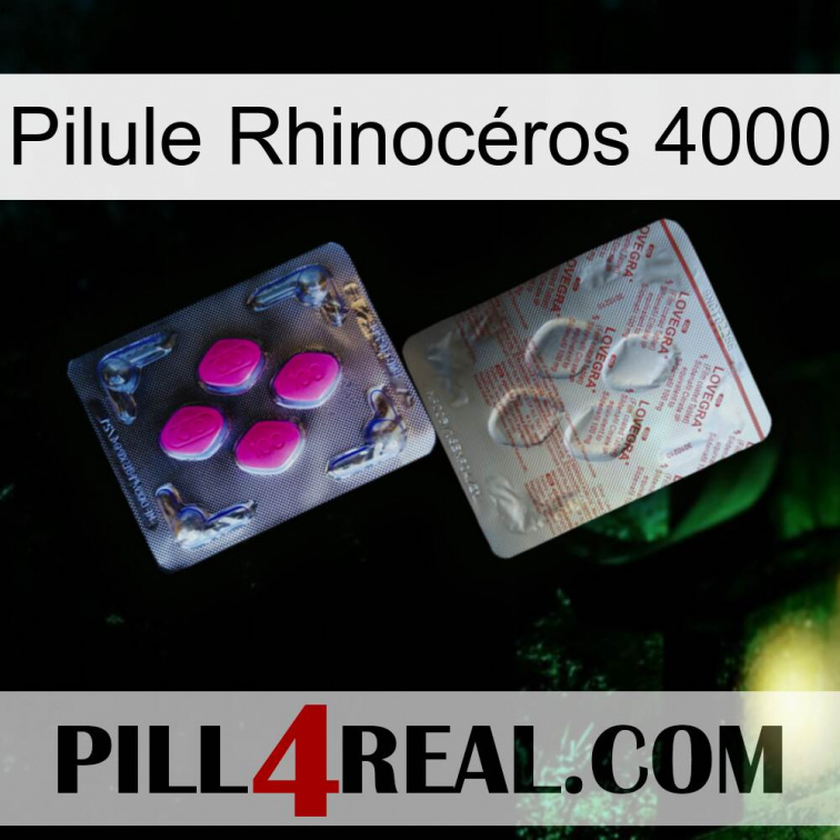 Pilule Rhinocéros 4000 38